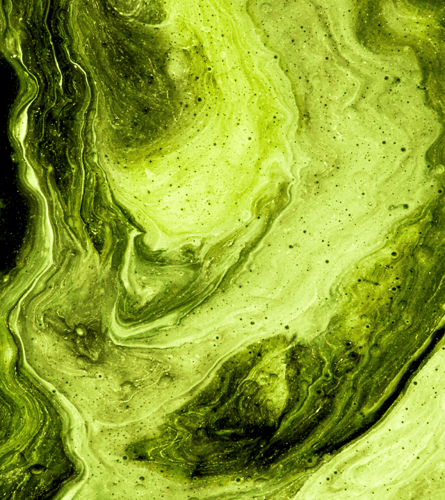 Natureza Tóxica