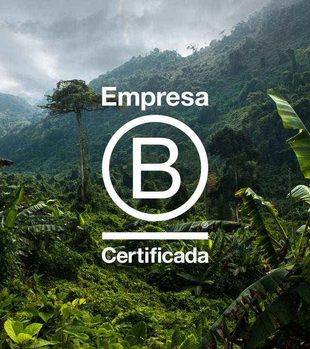 Fundo-floresta-logo-sistema-b-coporation-movin-certificacao
