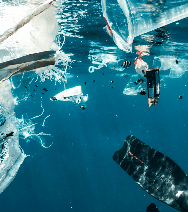 Plásticos nos Oceanos - Remover ou Evitar