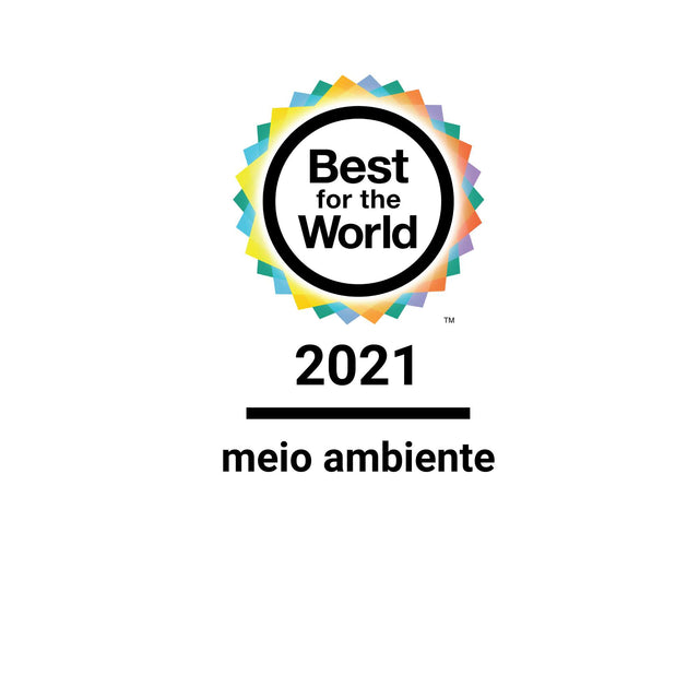 logo-premio-best-for-the-world-sistema-b-movin-2021