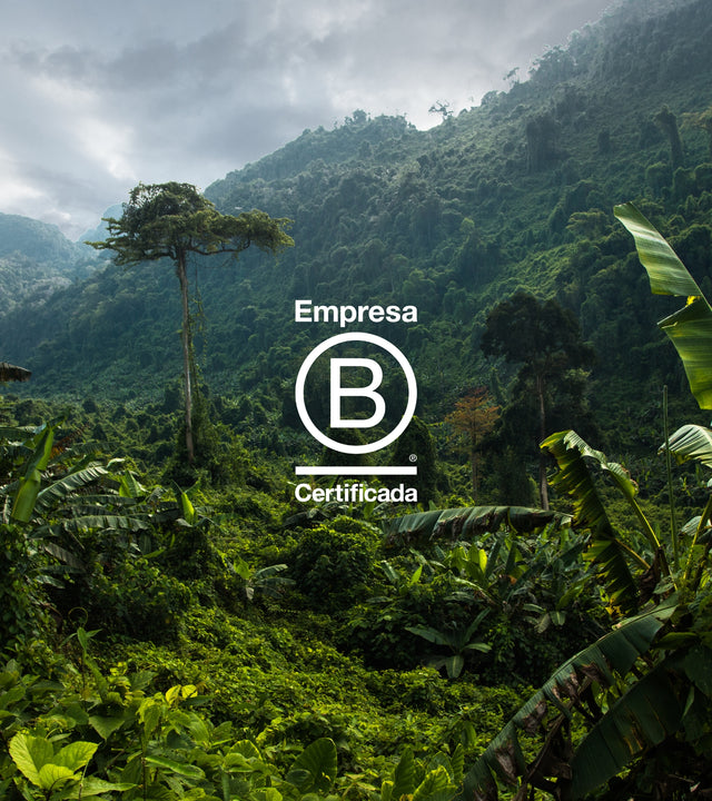 imagem-floresta-tropical-logo-sistema-b-branco-centralizado